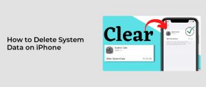 How to Delete System Data on iPhone